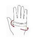 Gants d'escrime NANA-GS02 SABRE (frais de port inclus)